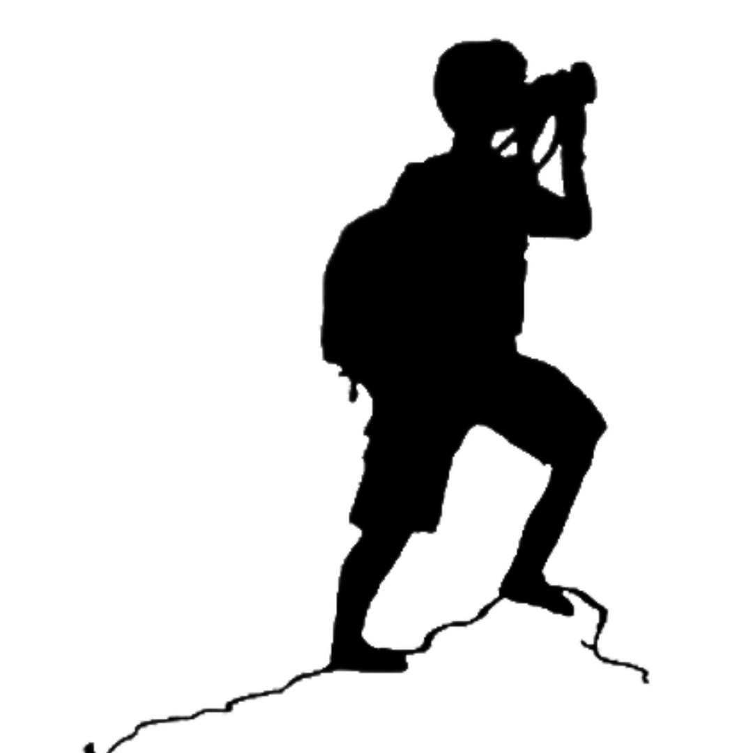 Website Main Landing Page